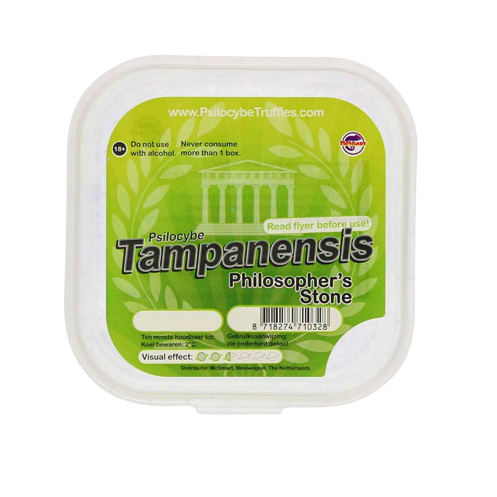 Tampanensis Magic Truffles (Psilocybe) smartific.com