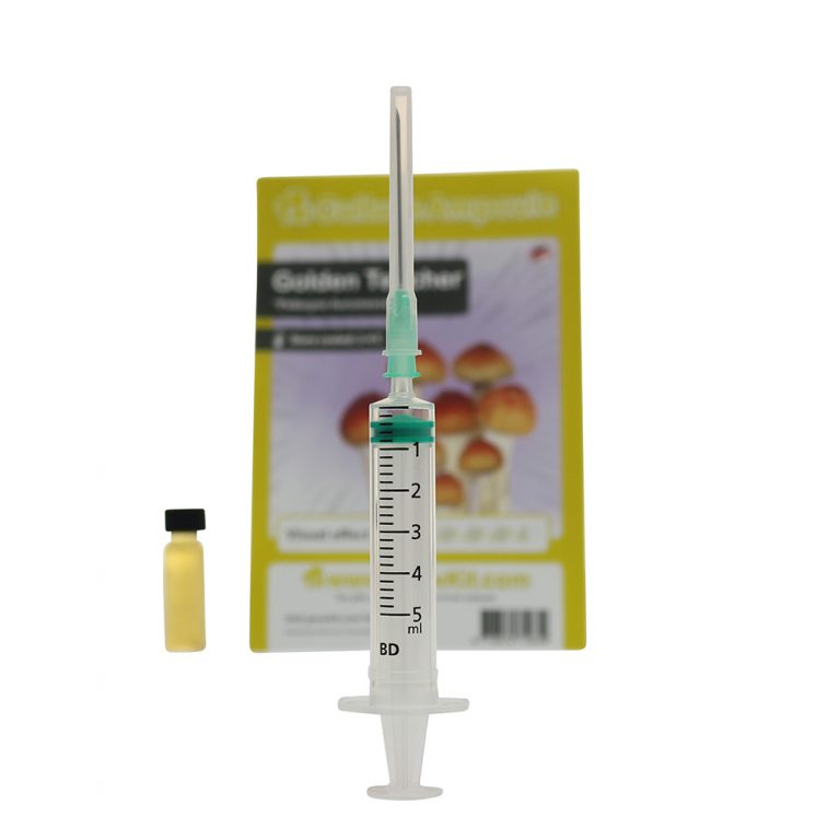 golden teacher spore syringe