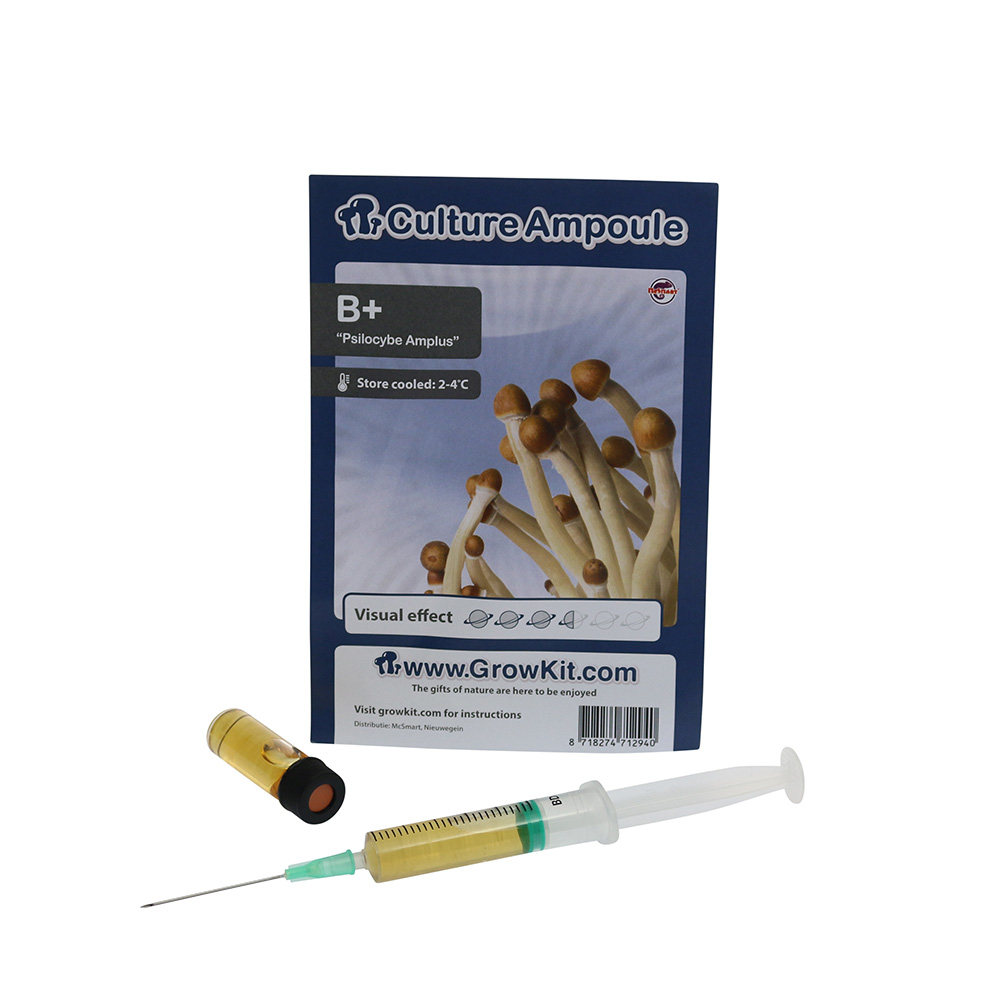 B+ Spore Syringe Amplus Psilocybe Culture Ampoule Magic Mushroom Spores
