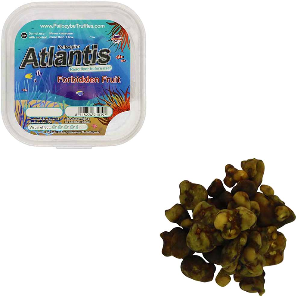 Atlantis Magic Truffels (Psilocybe) smartific.com
