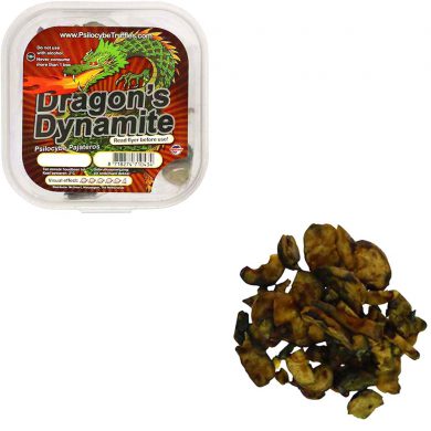 Dragons Dynamite Psilocybe Pajateros Magische Truffels smartific.com