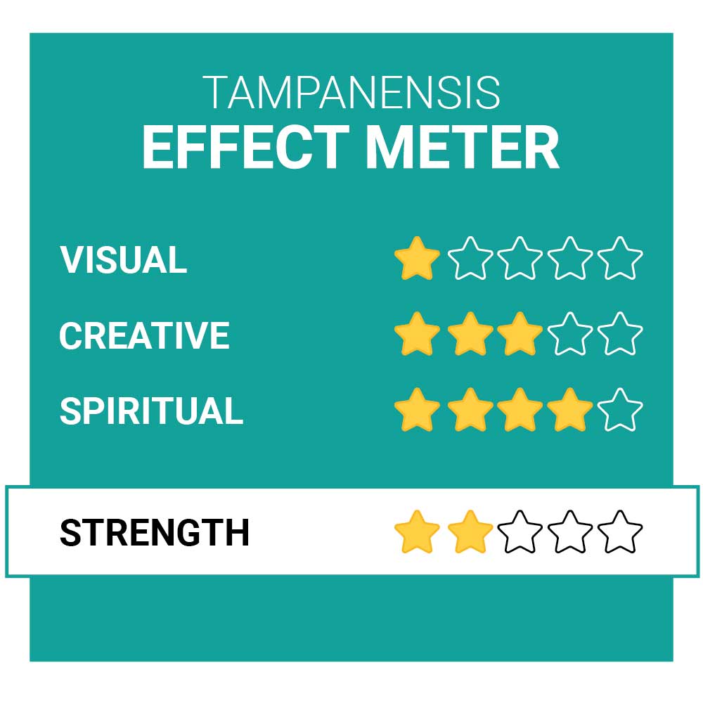 Tampanensis Magic Truffle Effects Smartific.com