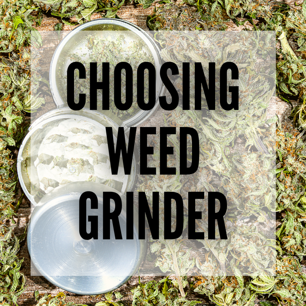 choosing a grinder blog post cover