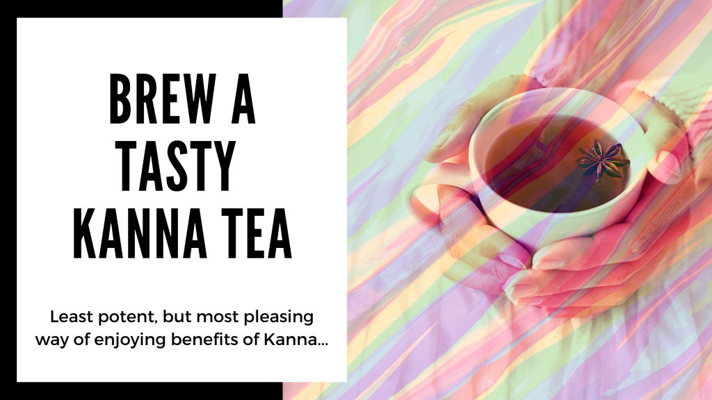 Everything You Need to Know About Kanna - make a tasty kanna tea - Smartific blog