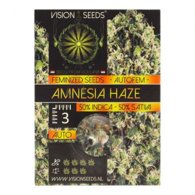 ? Vision Seeds Cannabis Seeds Auto AMNESIA HAZE Smartific 2014187