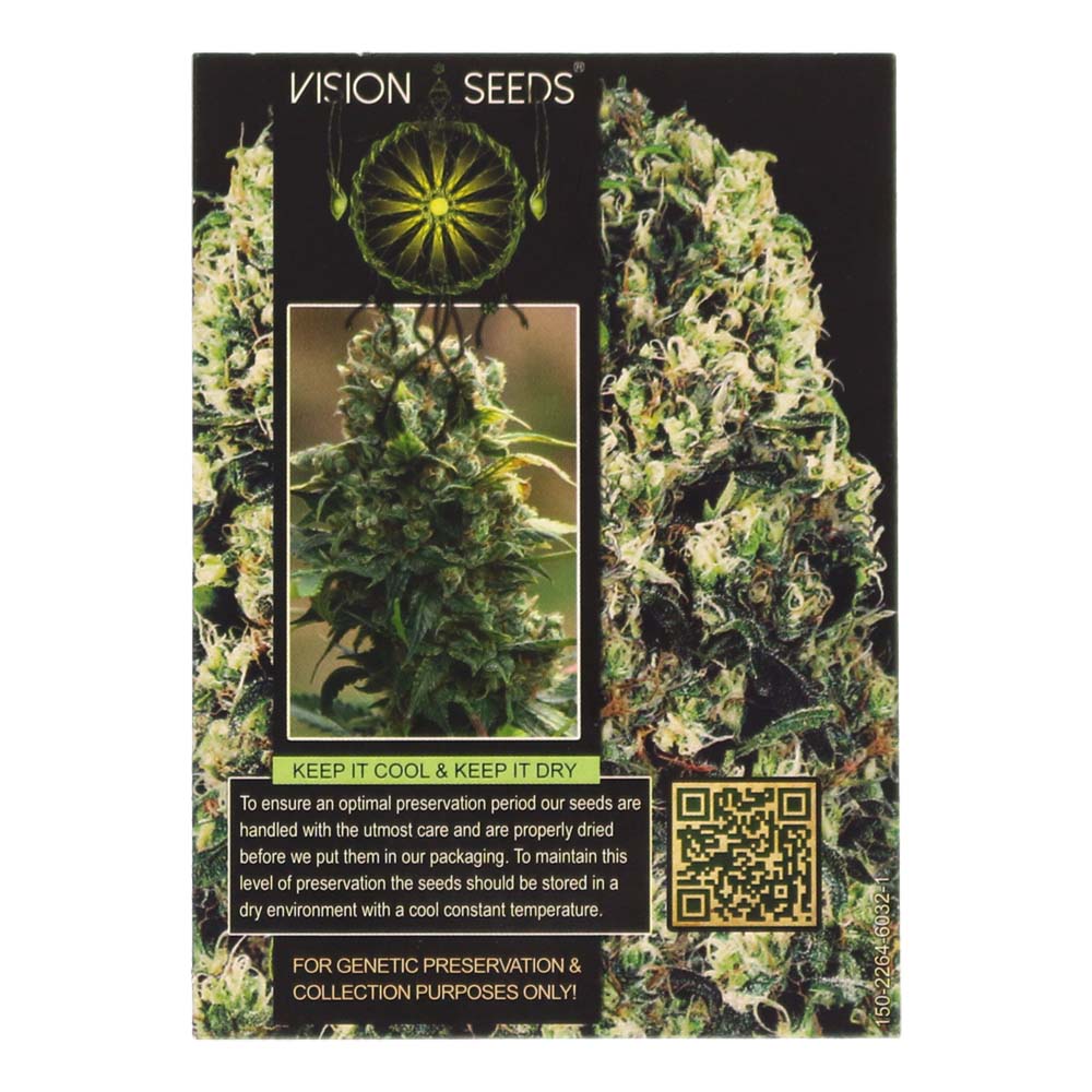 ? Vision Seeds Cannabis Seeds Auto AMNESIA HAZE Smartific 2014188/2014187