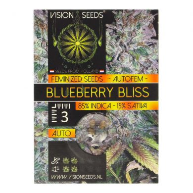 ? Vision Seeds Cannabis Seeds Auto BLUEBERRY BLISS Smartific 2014189