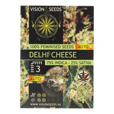 ? Vision Seeds Cannabis Seeds Auto DELHI CHEESE Smartific 2014191