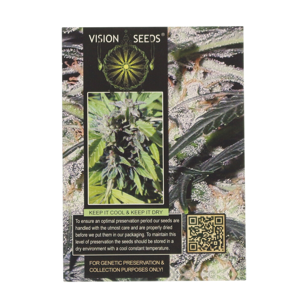 ? Vision Seeds Cannabis Seeds Auto LOWRYDER Smartific 2014198/2014197