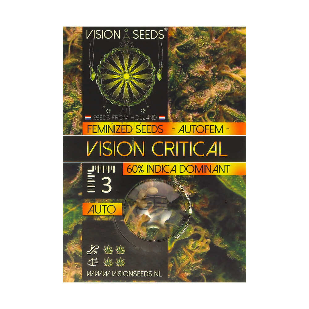 ? Vision Seeds Cannabis Seeds Auto VISION CRITICAL Smartific 2014205