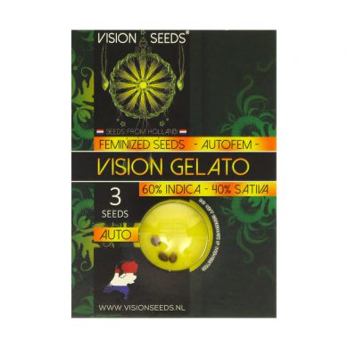 ? Vision Seeds Cannabis Seeds Auto VISION GELATO Smartific 2014207