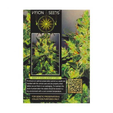 ? Vision Seeds Cannabis Seeds Auto VISION JACK Smartific 2014212/2014211