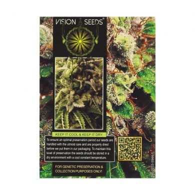 ? Vision Seeds Cannabis Seeds Auto VISION GORILLA Smartific 2014214