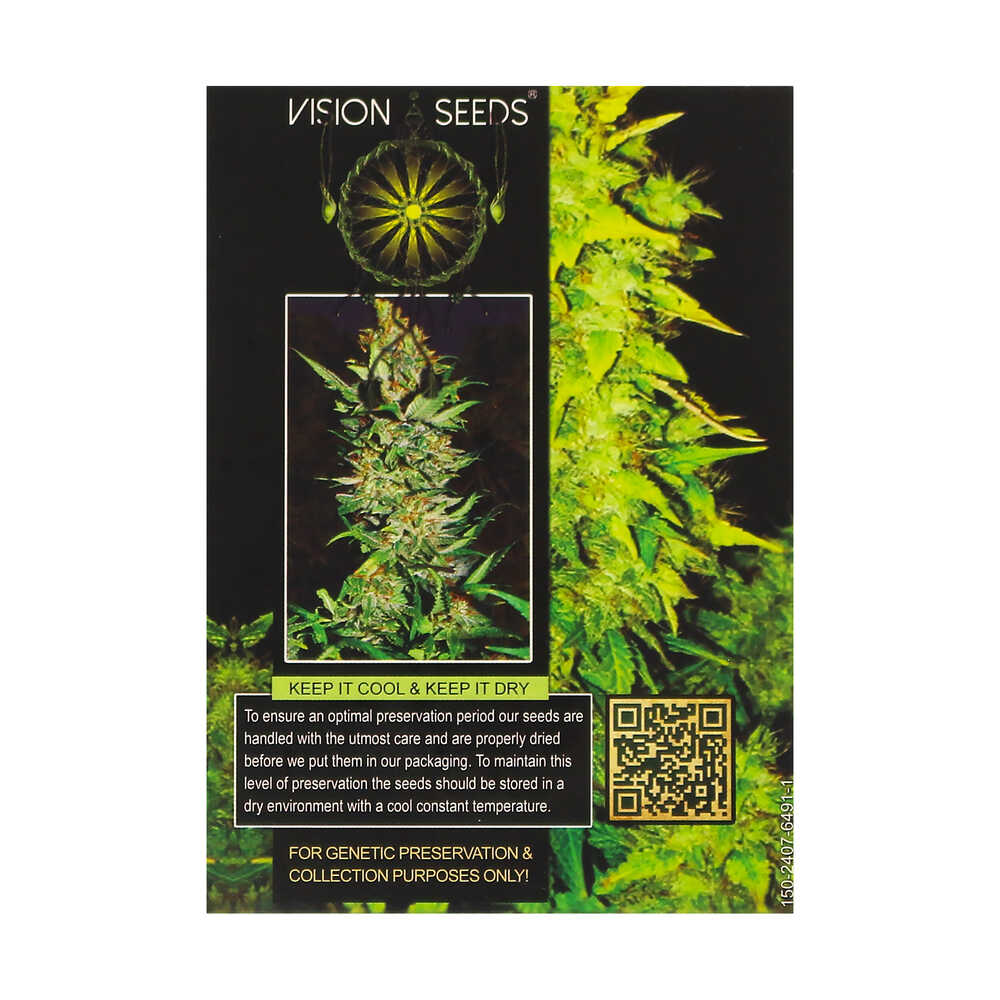 ? Vision Seeds Cannabis Seeds Auto WHITE WIDOW Smartific 2014216/2014215
