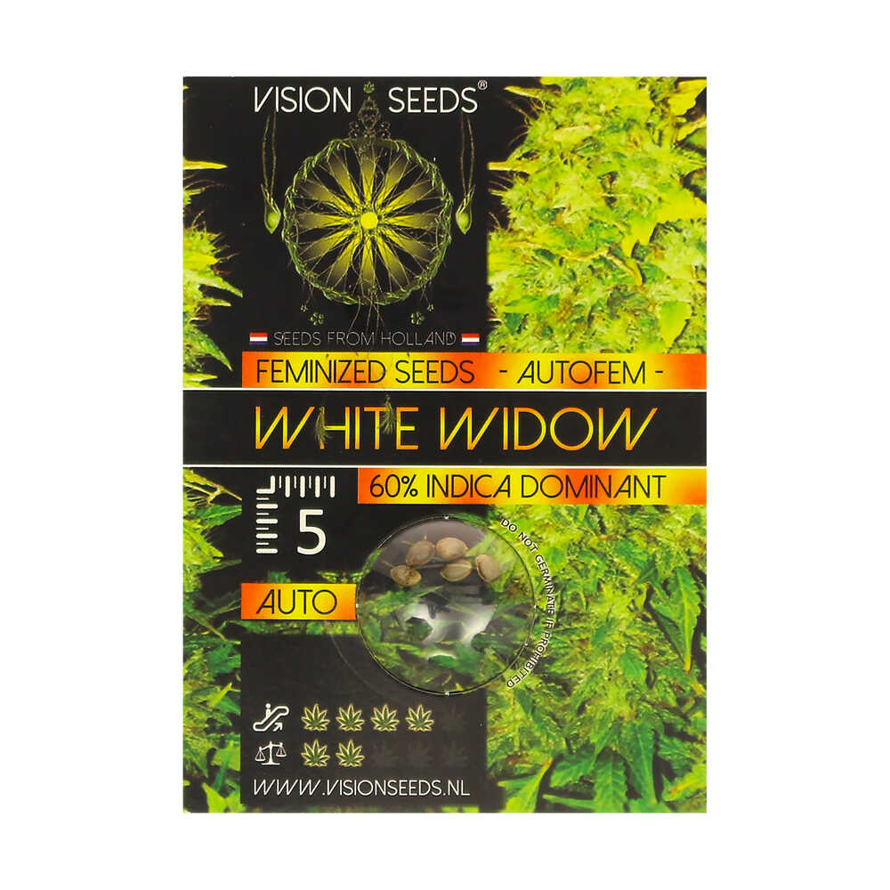 ? Vision Seeds Cannabis Seeds Auto WHITE WIDOW Smartific 2014216