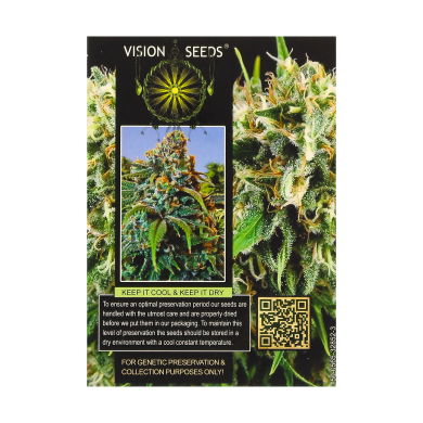 ? Vision Seeds Feminized Cannabis Seeds AMNESIA Smartific 2014220/2014219