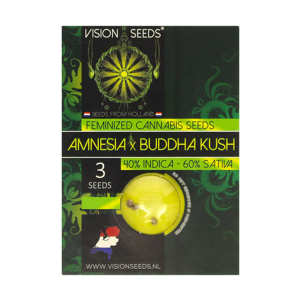 ? Vision Seeds Feminized Cannabis Seeds AMNESIA X BUDDHA KUSH Smartific 2014221