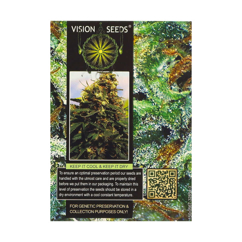 ? Vision Seeds Feminized Cannabis Seeds BIG BUD Smartific 2014223