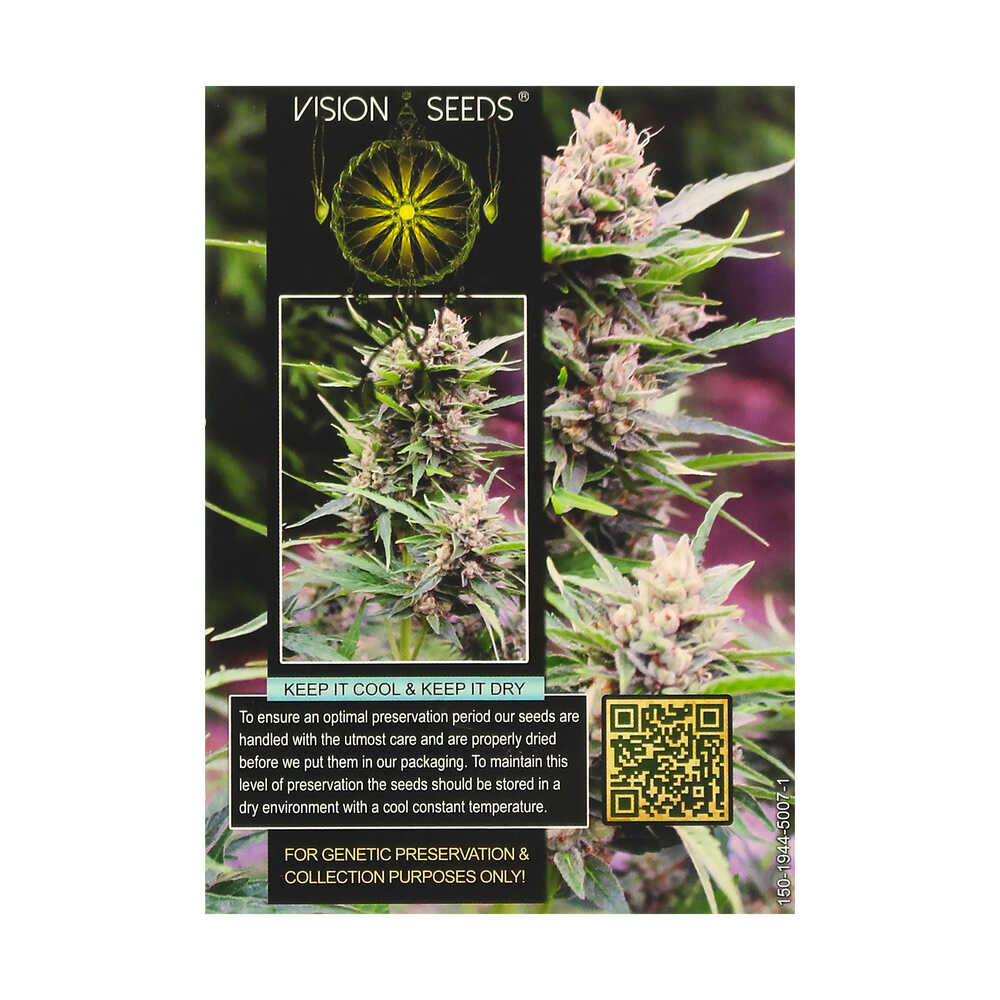 ? Vision Seeds Feminized Cannabis Seeds BONA DEA (CBD+) Smartific 2014228/2014227