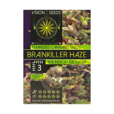 ? Vision Seeds Feminized Cannabis Seeds BRAINKILLER HAZE Smartific 2014229