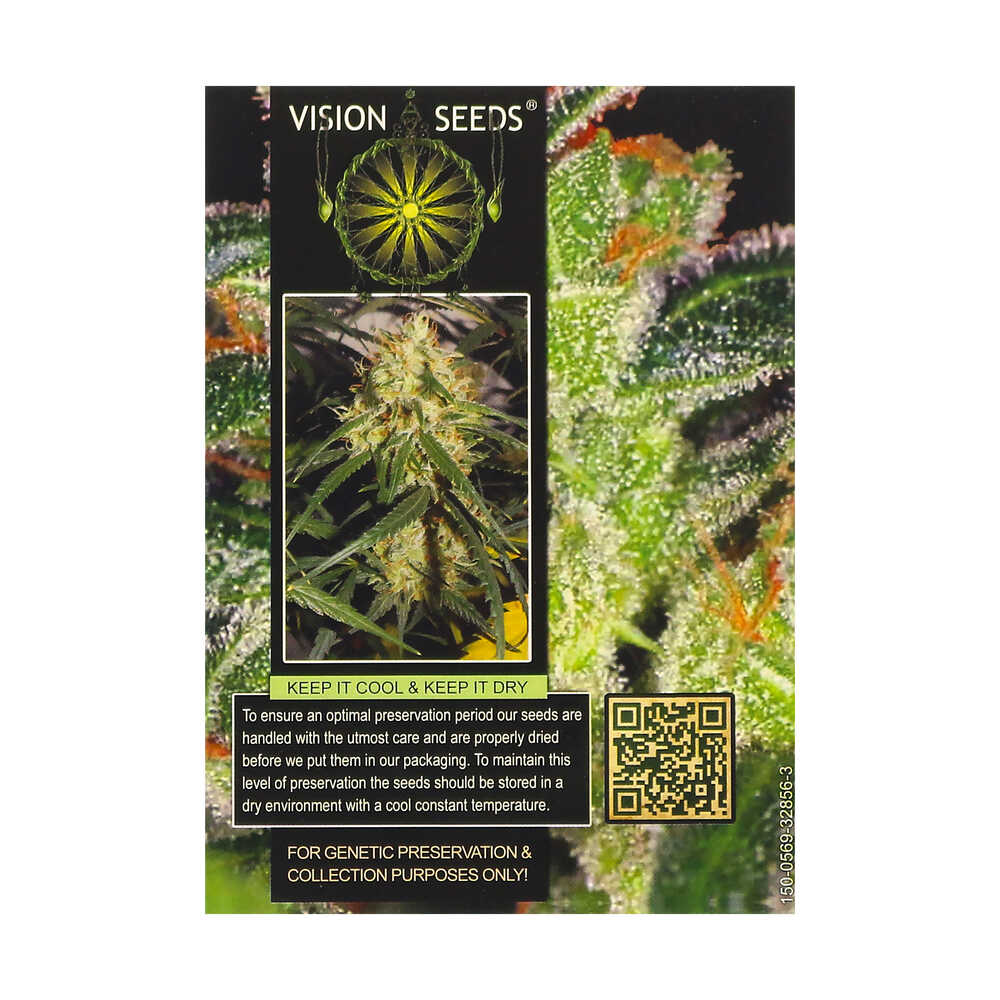 ? Vision Seeds Feminized Cannabis Seeds CHEESE Smartific 2014234/2014233