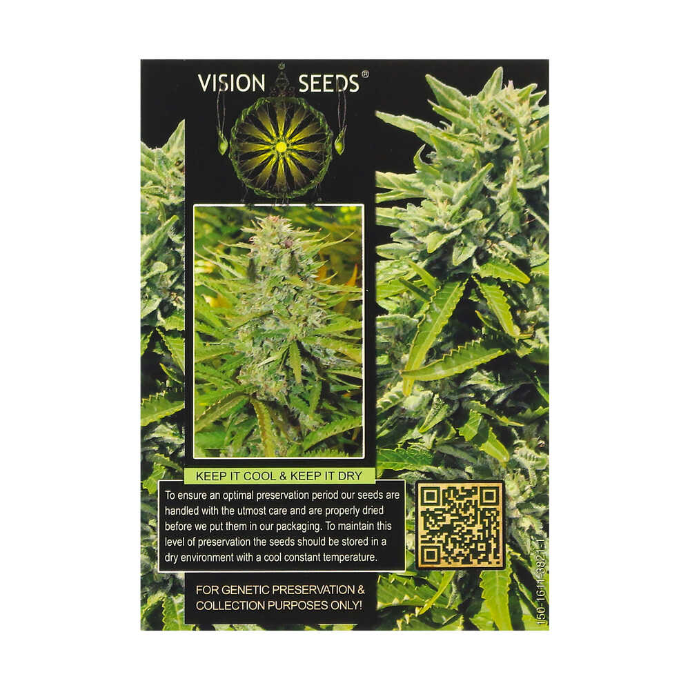 ? Vision Seeds Feminized Cannabis Seeds CRYSTAL QUEEN Smartific 2014240/2014239