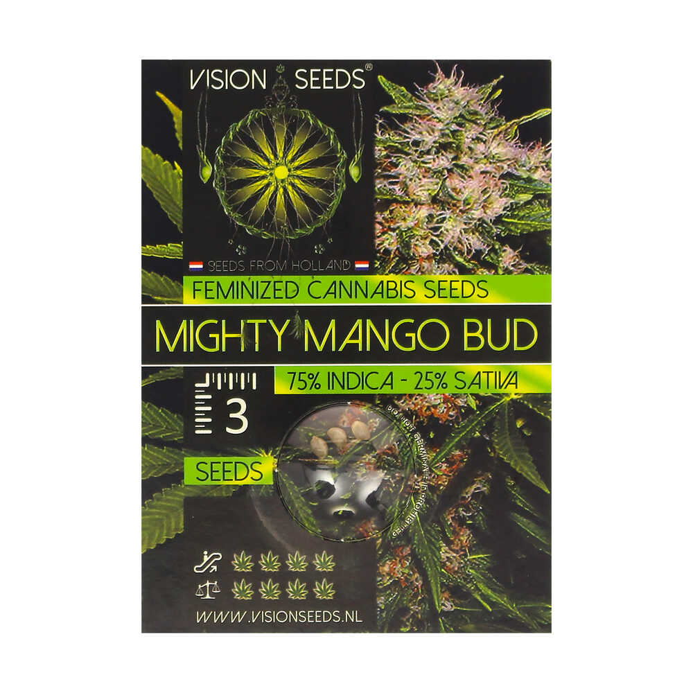 ? Vision Seeds Feminized Cannabis Seeds MIGHTY MANGO BUD Smartific 2014253