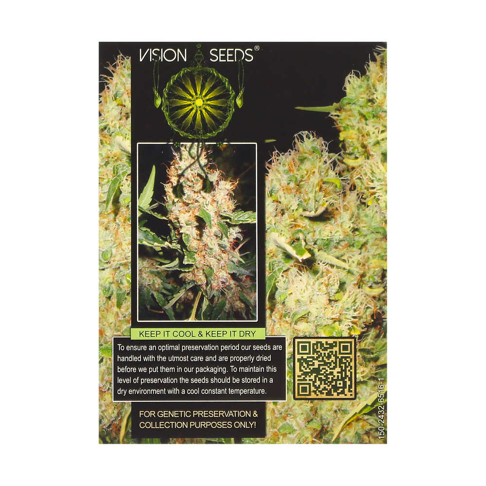 ? Vision Seeds Feminized Cannabis Seeds NORTHERN LIGHTS Smartific 2014258/2014257