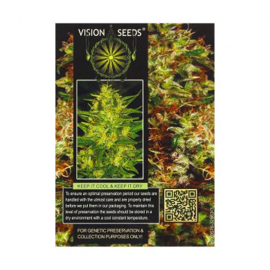 ? Vision Seeds Feminized Cannabis Seeds NY DIESEL Smartific 2014260/2014259