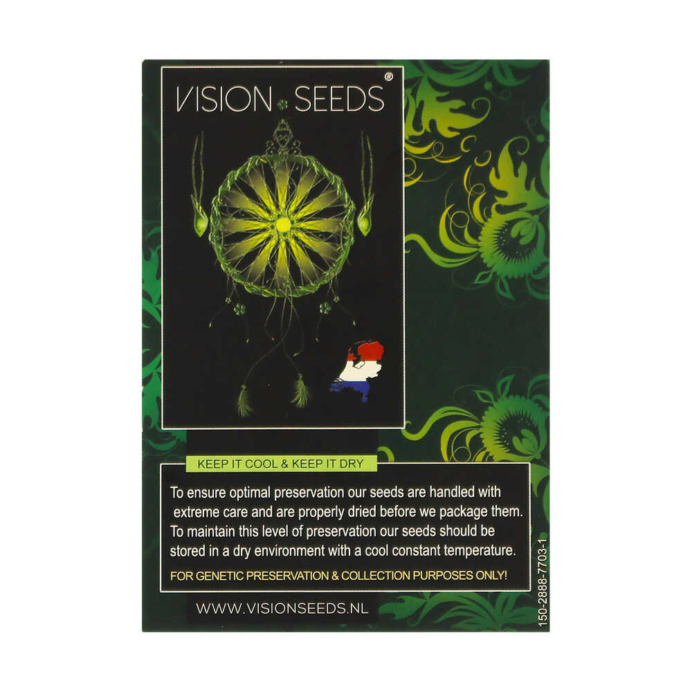 ? Vision Seeds Feminized Cannabis Seeds PURE GELATO Smartific 2014262/2014261