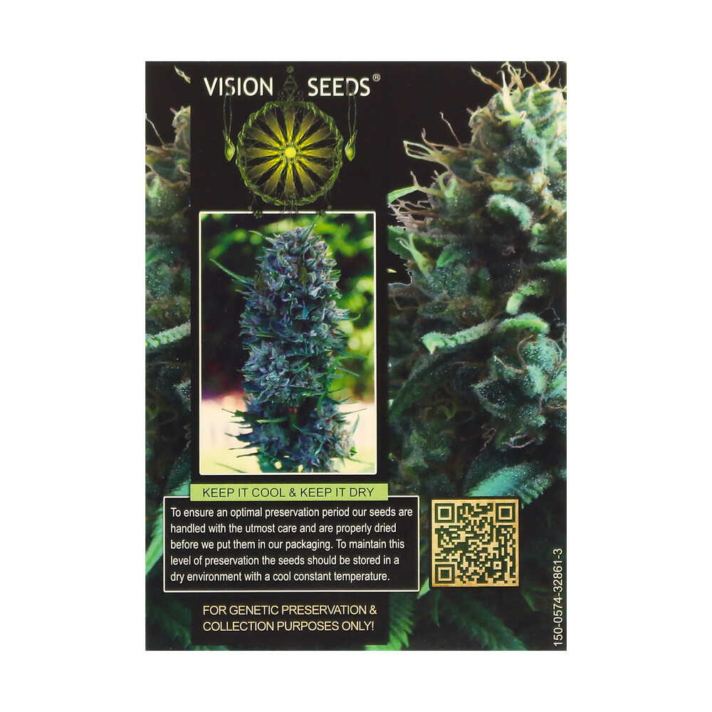 ? Vision Seeds Feminized Cannabis Seeds SILVER HAZE Smartific 2014266/2014265