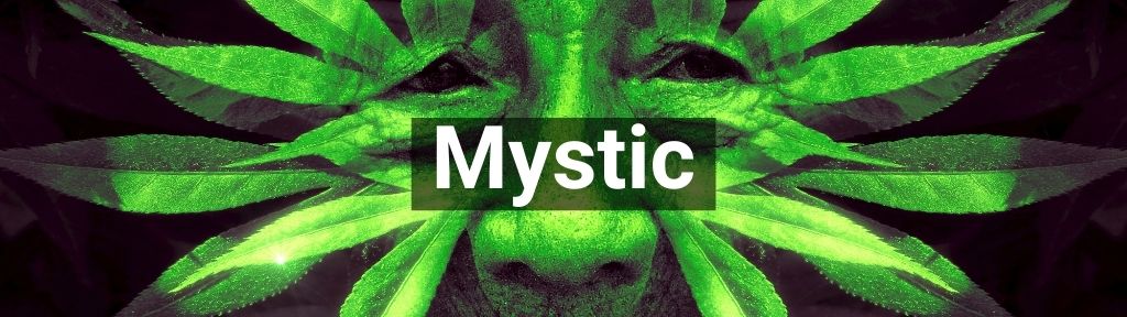✅ All high-quality Mystic from Smartific.com