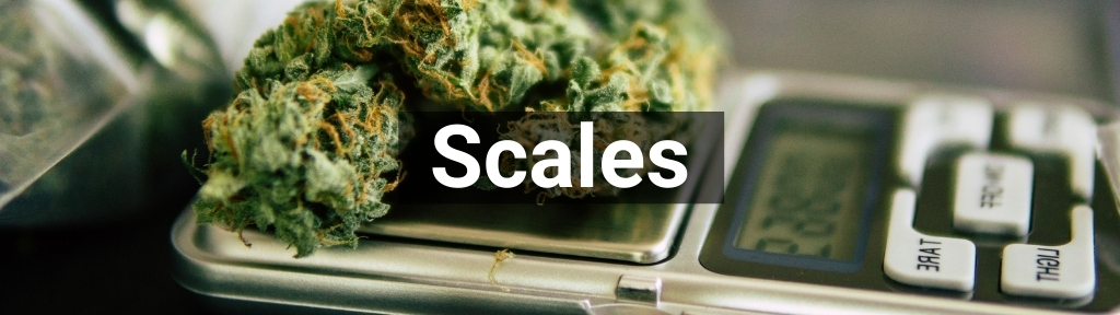 ✅ All high-quality Scales from Smartific.com