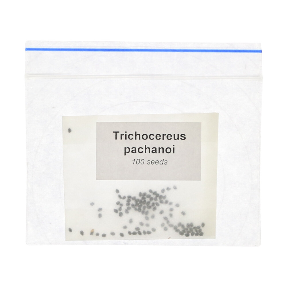 ? San Pedro Seeds (Trichocereus Pachanoi) Smartific 8718274711417