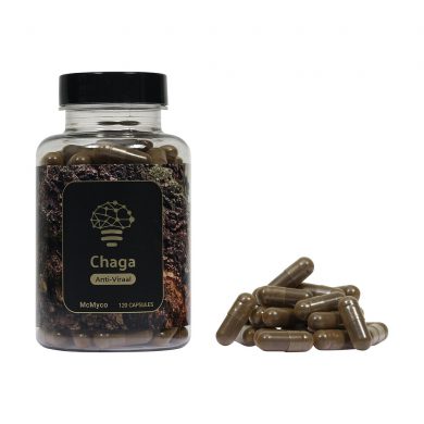 Chaga medicinal mushroom supplements buy online Smartific 8718274718270