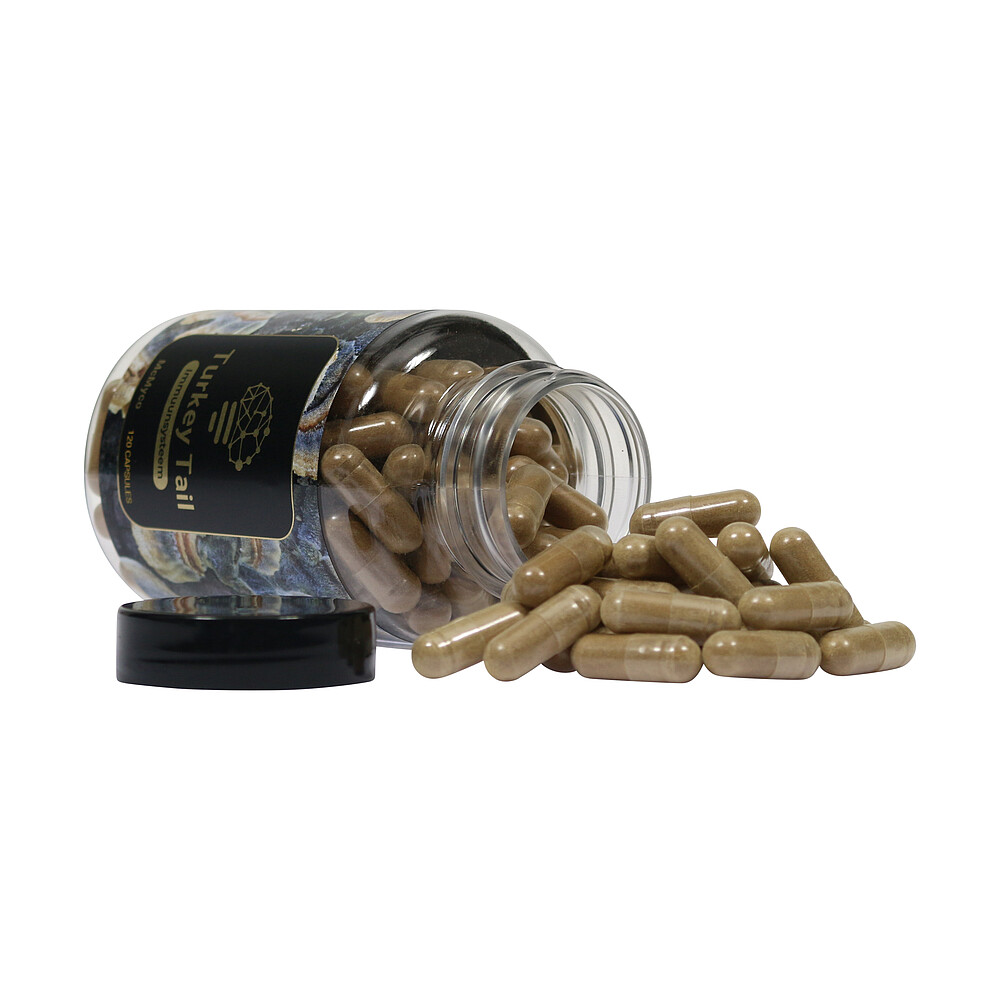 Turkey Tail medicinal mushroom supplements buy online Smartific 8718274718300