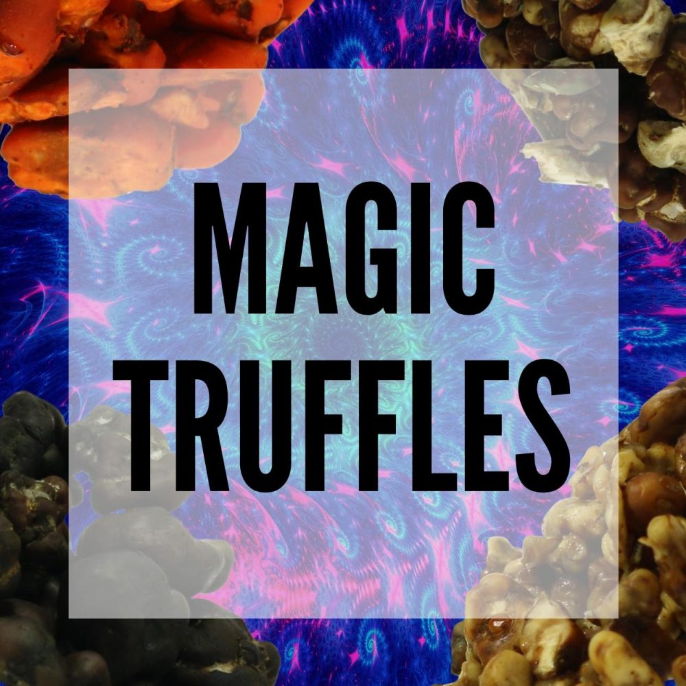 Buy magic truffles online smartific webshop smartshop
