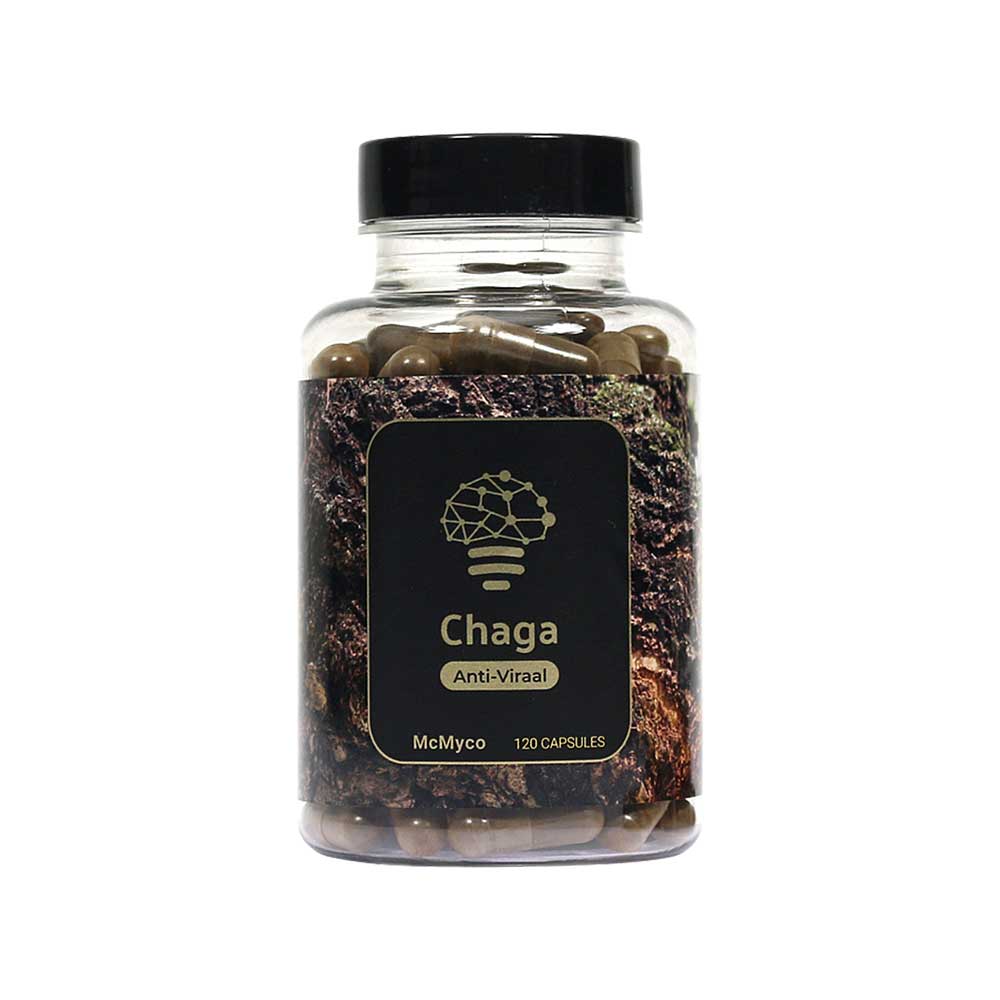 Chaga medicinal mushroom supplements buy online Smartific 8718274718270