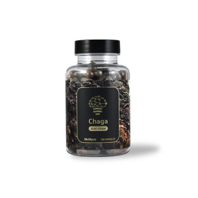 Chaga Front view McMyco