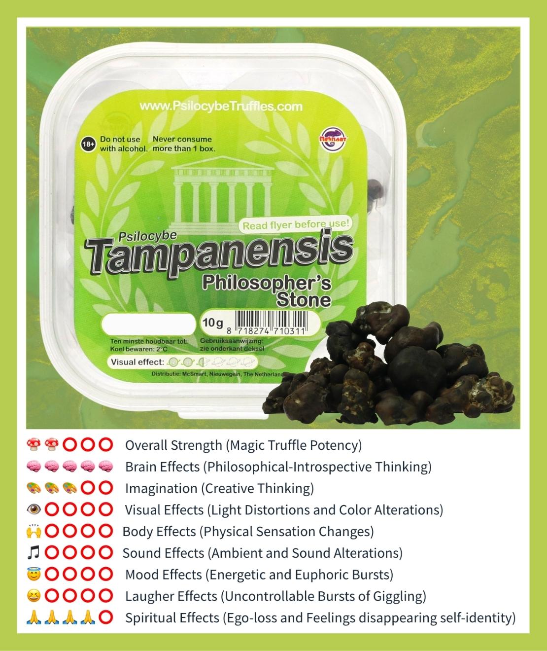 Magic truffles | Shop the most famous magic truffles of the Netherlands!