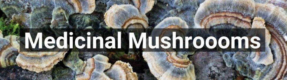 ✅ All high-quality Medicinal Mushrooomsproducts from Smartific.com