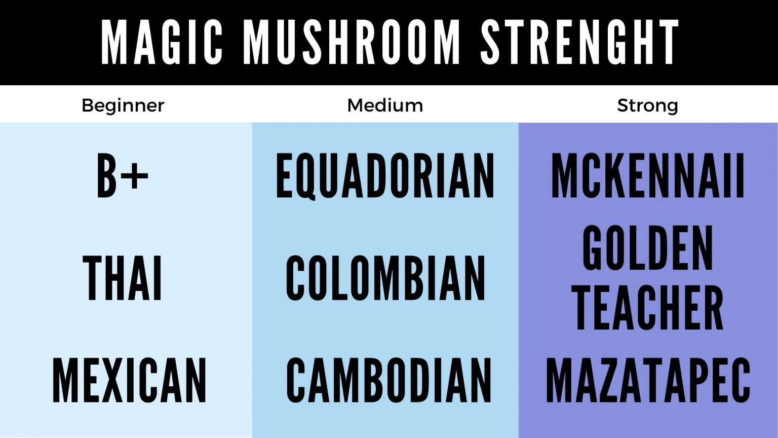 Magic Mushroom Identification Chart