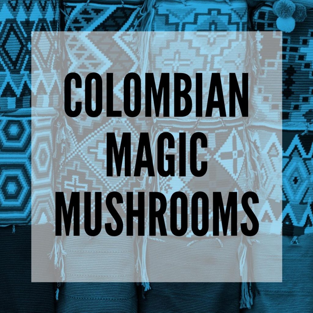 colombian magic mushrooms