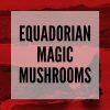 equadorian magic mushrooms
