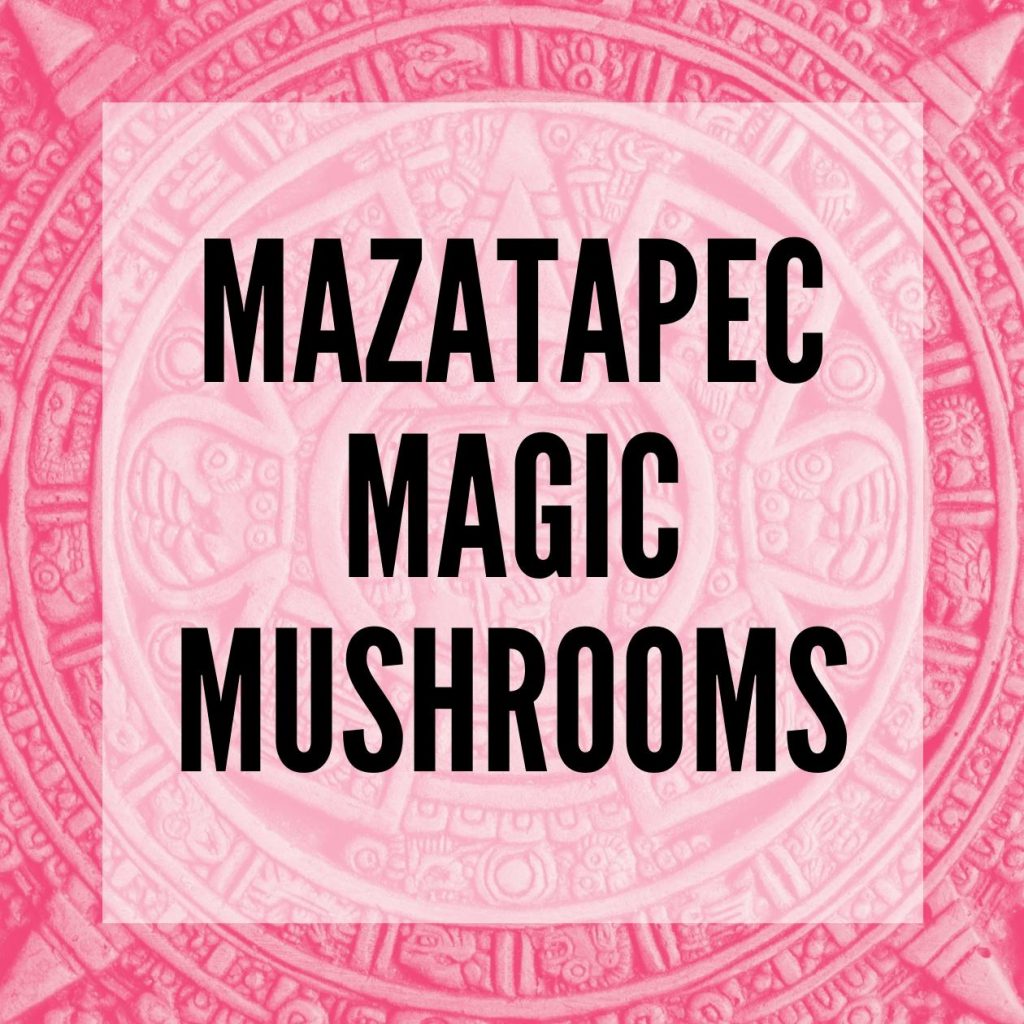 mazatapec magic mushrooms