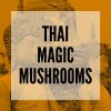 thai magic mushrooms