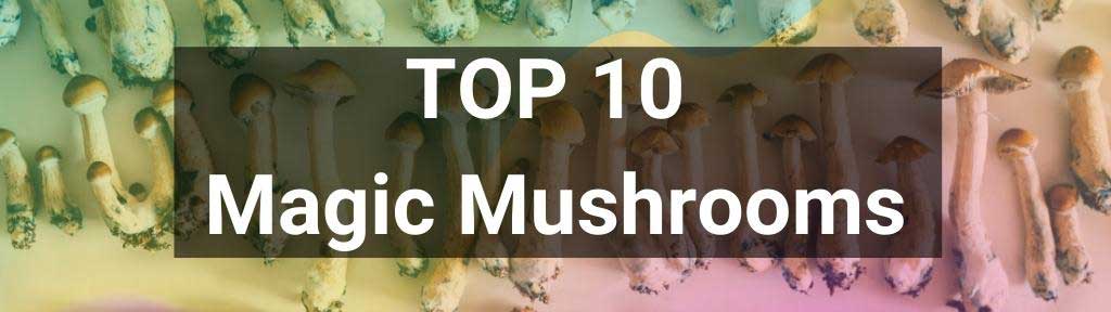 Top 10 magic mushrooms