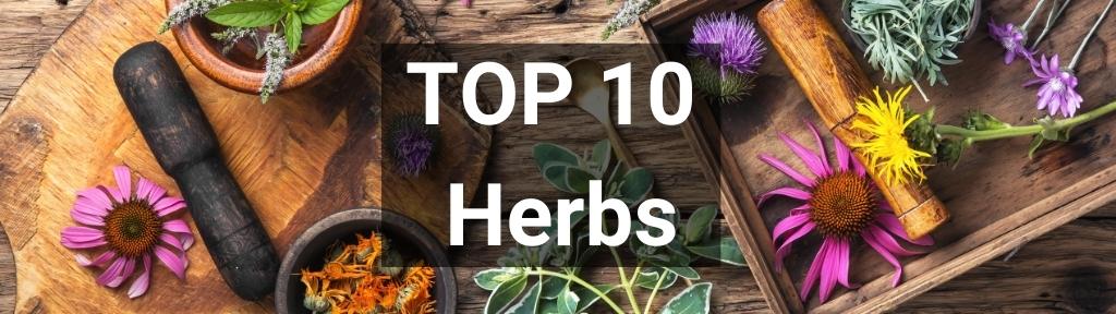 ✅ Top 10 Herbs from Smartific.com