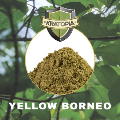 Yellow Borneo Kratom contents Kratopia