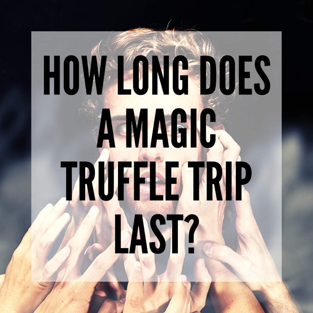 How long does a Magic Truffle trip last? blog post thumbnail